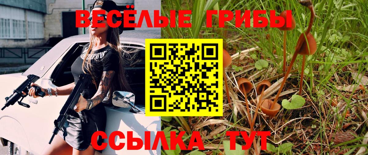 Псилоцибиновые грибы GOLDEN TEACHER Волгоград