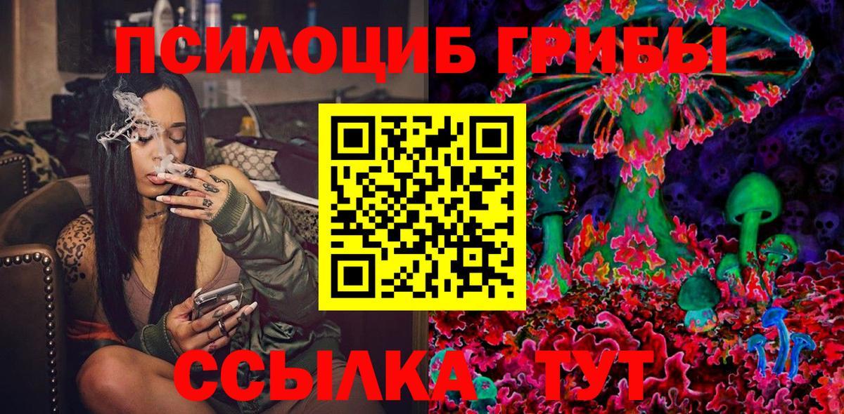 цена   Псилоцибиновые грибы Psilocybe  Вход с VPN  Псилоцибиновые грибы Cubensis  Волгоград 